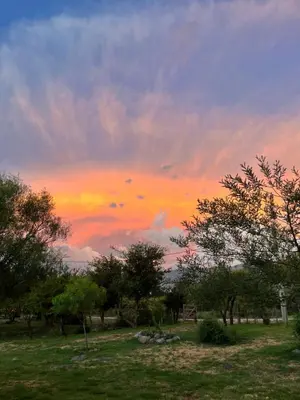 a sunset in a field with trees in a field at Flor Silvestre in Carpintería