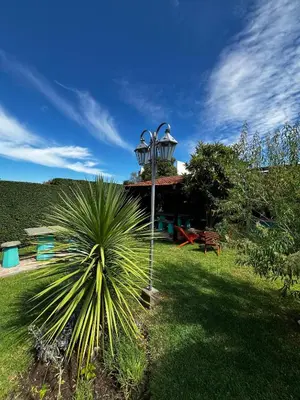 a palm tree in front of a house with a street light at La Merlina in Merlo