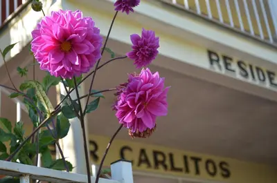 a vase with pink flowers in front of a building at Hosteria Sans Souci in Tanti