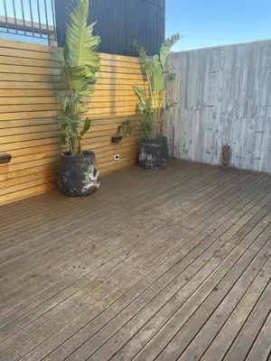 two plants in black pots on a wooden deck at DEPARTAMENTO Guemes a mts de Nva Córdoba y centro Terraza y pileta! in Cordoba