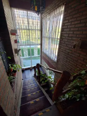 a room with a staircase with windows and plants at Gracias Viejo in Merlo