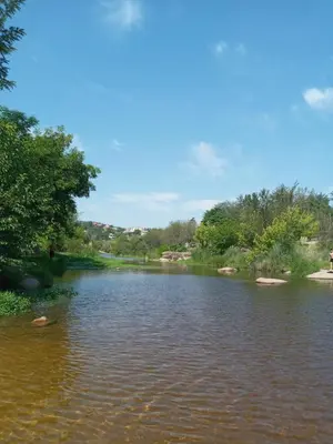 a view of a river with trees in the background at La Tacuarita in Estancia Vieja