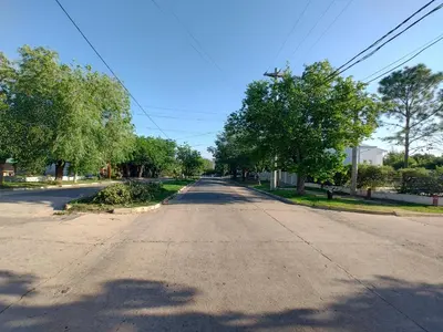 an empty street with trees on both sides of the road at La Mora Departamento in Mina Clavero