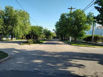 an empty street with trees on both sides of the road at La Mora Departamento in Mina Clavero