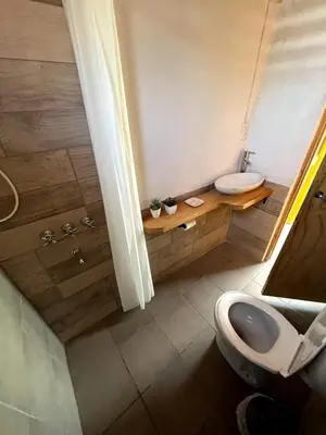 a bathroom with a toilet and a sink and a shower at CASITA PINTORESCA EN LAS SIERRAS Y LAGO in San Roque