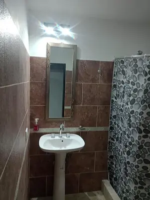 a bathroom with a sink and a mirror and a shower at EL RANCHO DE PIA in Merlo