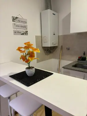 a kitchen with a table with a plant on it at Viaggiato Catamarca in Cordoba