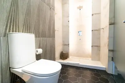 a bathroom with a toilet and a shower at Domingo Design Hotel in Santa Rosa de Calamuchita