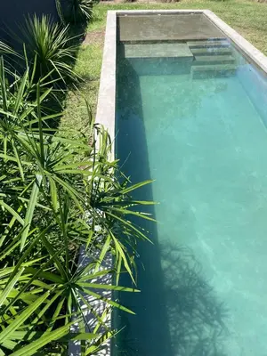 a swimming pool with palm trees next to it at RumaRanch Solo Parejas Casa con pileta privada a 20 mts del Río in Villa Carlos Paz