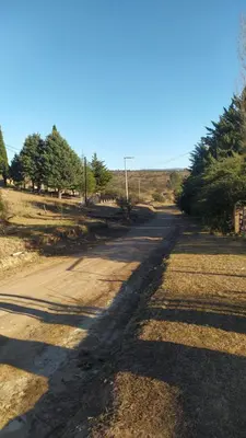 an empty road with trees on the side of it at Cabañas lipamai in Potrero de Garay