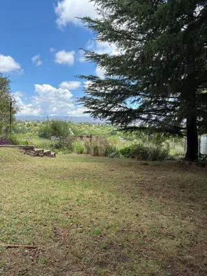 a park with a tree and a grass field at Casa Q a 5km del centro de Villa Carlos Paz in Villa Santa Cruz del Lago