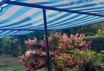 a blue umbrella over a bush with pink flowers at ARROYO SERRANO-MINA CLAVERO in Mina Clavero