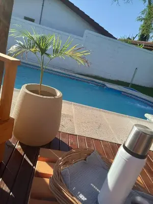 a plant in a pot on a table next to a pool at Apartamento Remansum in Santa Rosa de Calamuchita