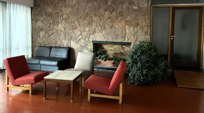 a living room with a couch and chairs and a fireplace at Hotel Rossetti y Spa in Mina Clavero