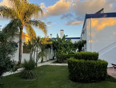 a yard with palm trees and a white building at Hotel Rossetti y Spa in Mina Clavero