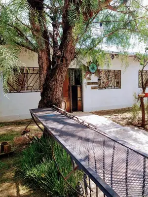 a tree sitting in front of a house with a bench at El Escarabajo Azul loft & Arte in Villa Carlos Paz