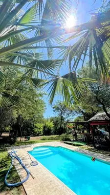 a pool with a hose next to a palm tree at Cabañas La Esperanza in Quebrada de los Pozos