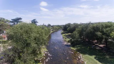 a river with trees on the side of it at Departamentos Valle Azul in Santa Rosa de Calamuchita