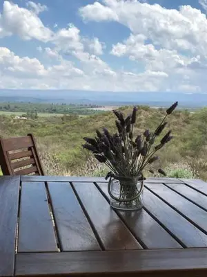 a vase of flowers sitting on a wooden table at Agave Serrano in Villa Rumipal