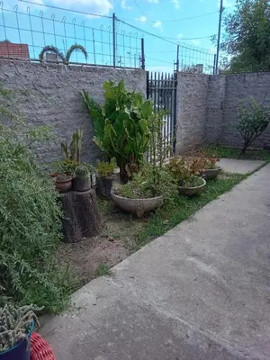 a group of plants in pots next to a fence at La Tata in Alta Gracia