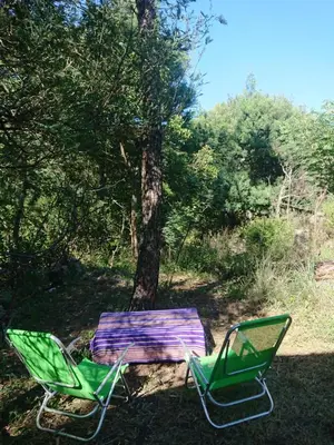 two lawn chairs sitting in front of a tree at La Cabañita in Tanti