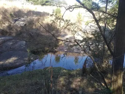 a small pond in the middle of a field at La Cabañita in Tanti