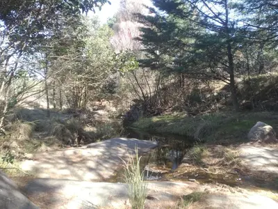 a small pond in the middle of a forest at La Cabañita in Tanti