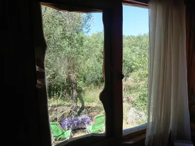 an open window with a view of a yard at La Cabañita in Tanti