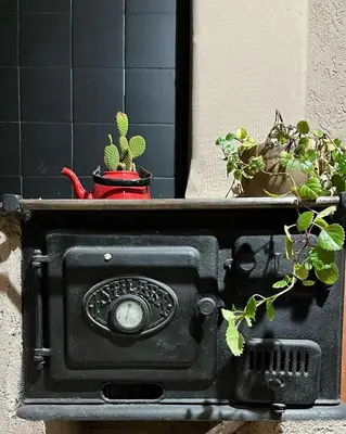 a black stove with potted plants on a wall at Casa Raíz 2 habitaciones para 4 personas frente al río in Santa Rosa de Calamuchita