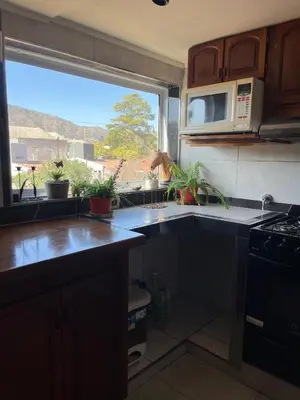 a kitchen with a sink and a window with potted plants at Casa Beethoven in Villa Carlos Paz