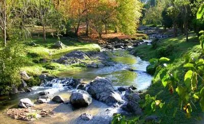 a river with rocks and trees in a field at Casitas del arroyo Actividades Arte Cultura y descanso en Villa General Belgrano in Villa General Belgrano