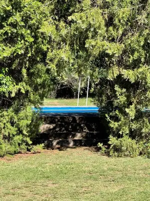 a blue bench in the middle of some trees at Tunquelen in Las Calles