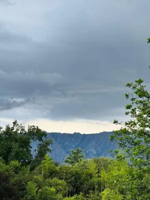 a group of trees with mountains in the background at Tunquelen in Las Calles