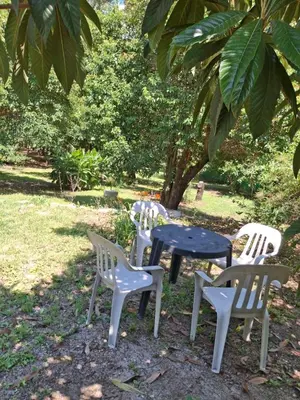 a group of chairs and a table under a tree at Casa de verano Marcos Lopez in Villa Cura Brochero