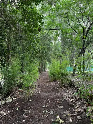a dirt trail through a forest next to a body of water at Casa de verano Marcos Lopez in Villa Cura Brochero
