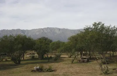 a picnic table in a field with trees and mountains at CASA DE CAMPO COLIBRI EN LA MATILDE in San Javier