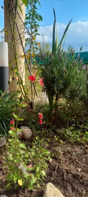 a garden with flowers and plants in front of a building at Cabaña Rincón de Afrodita in San Lorenzo
