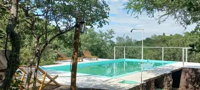 a swimming pool in the middle of a yard with trees at Orquídeas in Quebrada de los Pozos