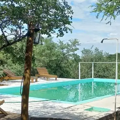 Orquídeas