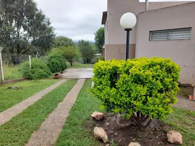 a bush in front of a building with a street light at Dpto del Sur in San Roque