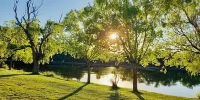 a river with trees and the sun shining on the water at Cabaña Clarita La Florida in La Florida