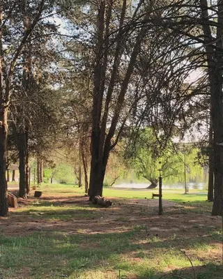 a park with trees and a bench in the grass at Cabaña Clarita La Florida in La Florida