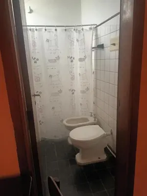 a bathroom with a toilet and a shower curtain at Hotel Agüero in Mina Clavero