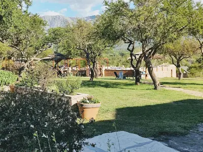 a garden with trees and plants in a field at Apart & Cabañas 