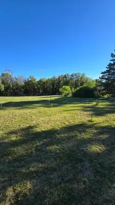 a field of grass with trees in the background at Hosteria Rural Piedra y Camino in Nono