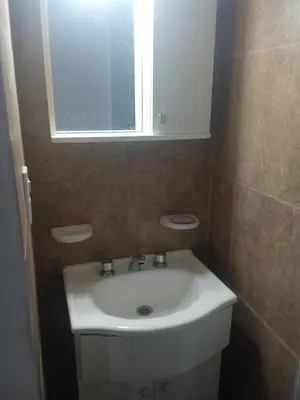 a bathroom with a white sink and a mirror at Piquillin San Lorenzo in San Lorenzo