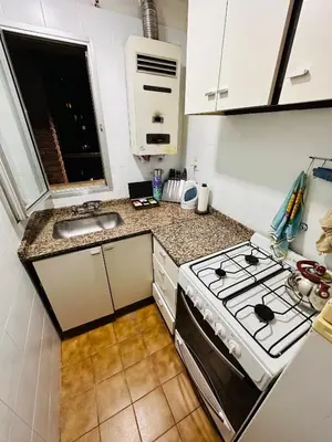 a kitchen with a stove and a sink at Refugio Urbano in Cordoba