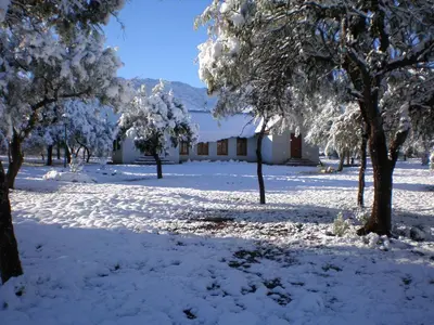 a snow covered yard with trees and a building at White Field Houses and Spa in Villa de Las Rosas