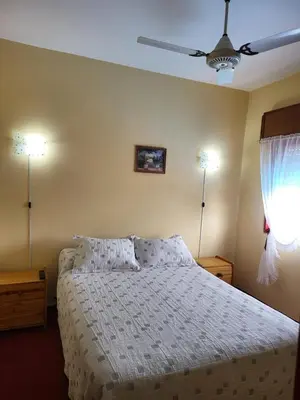 a bedroom with a bed with two lamps and a ceiling fan at Hotel Car Mar in Mina Clavero