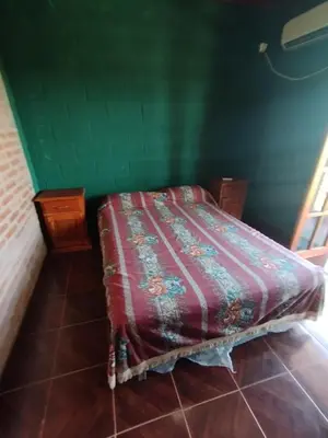 a bed in a room with a green wall at Pecas house in Mina Clavero
